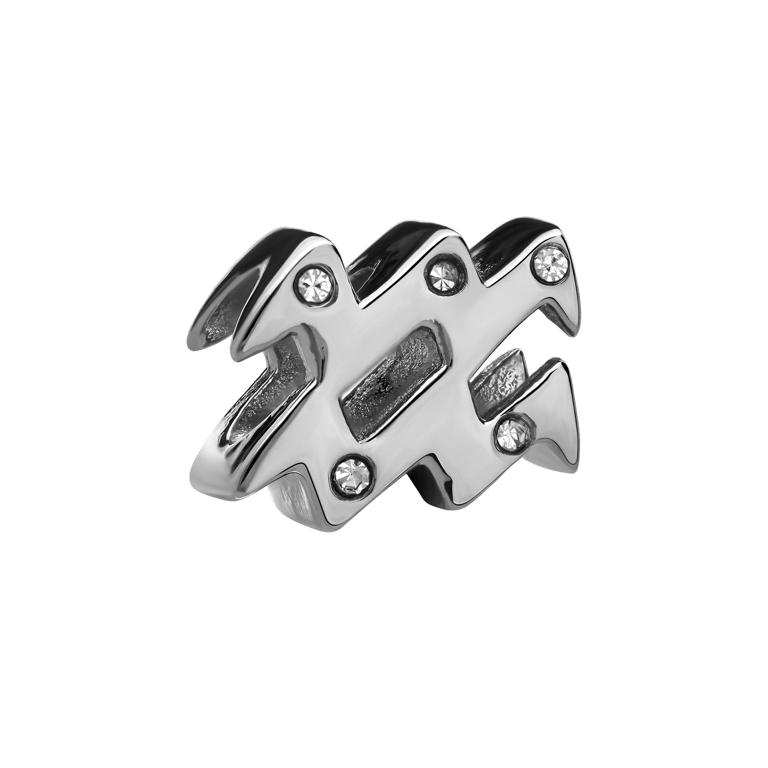 Bettelarmband-Anhänger aus Edelstahl, Sternzeichen Wassermann
