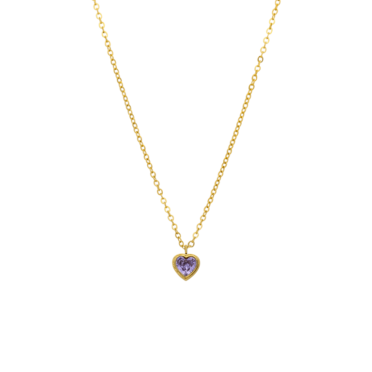 Stainless steel goldplated ketting met hanger hart met zirkonia voor dames