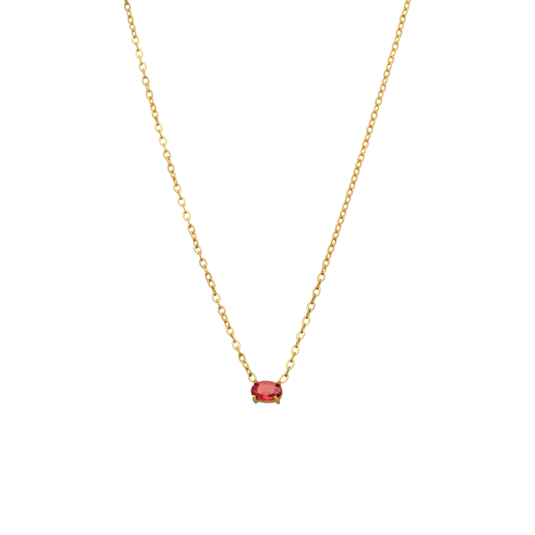 Stainless steel goldplated ketting met hanger met zirkonia voor dames