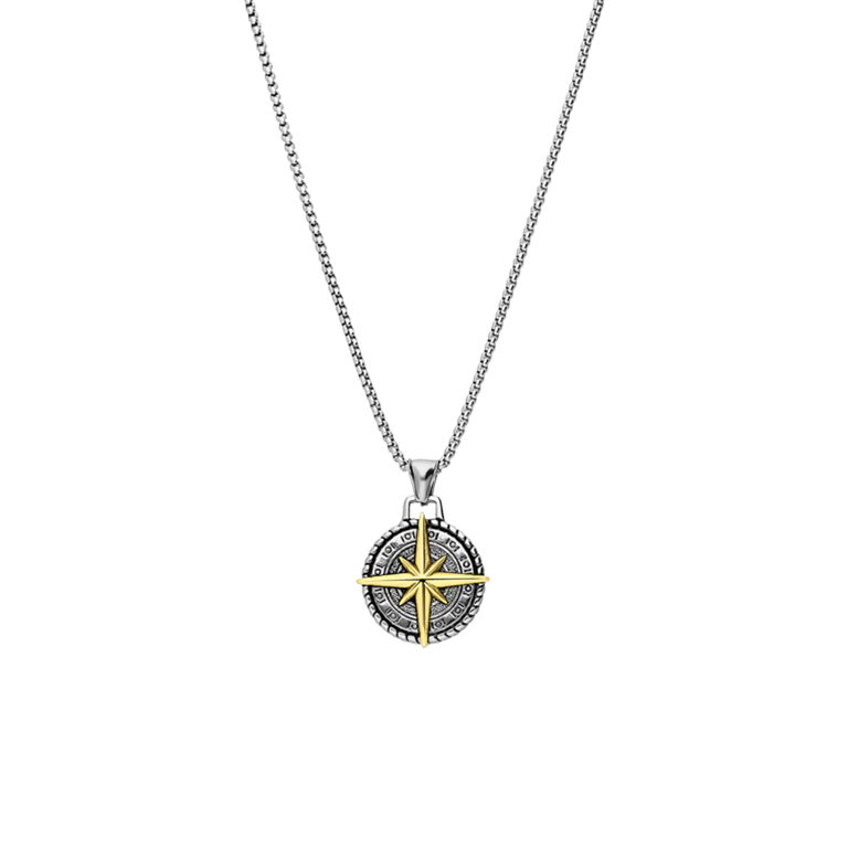 Stainless steel ketting met hanger kompas voor heren