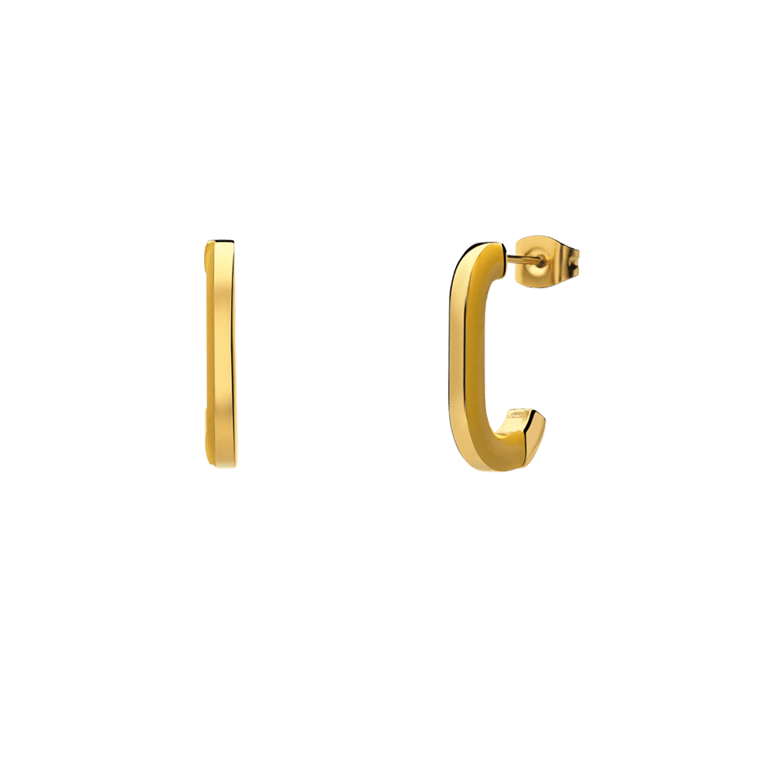 Stainless steel goldplated oorringen voor dames