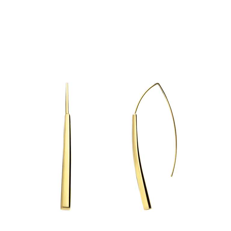 Stainless steel goldplated oorhangers voor dames