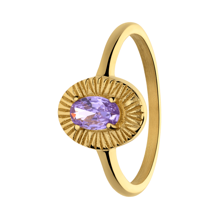 Stalen goldplated vintage ring bewerkt met paars zirkonia