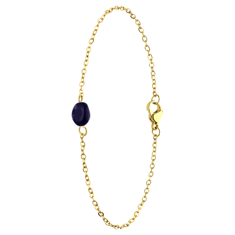 Stalen goldplated fantasiearmband voor dames