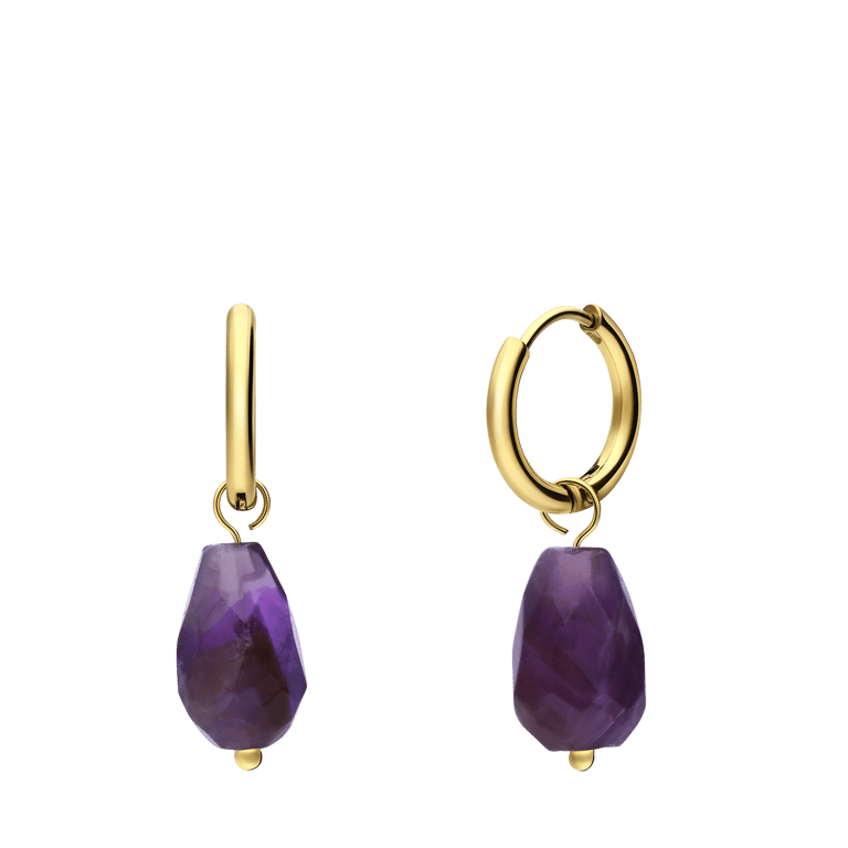 Stainless steel goldplated oorringen met amethyst voor dames