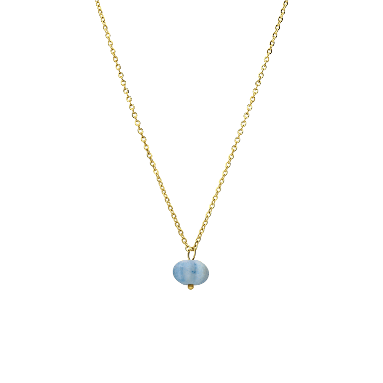 Stalen goldplated ketting met hanger pompoen voor dames
