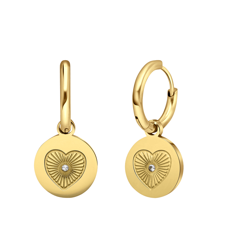 Stalen goldplated oorringen munt met zirkonia voor dames
