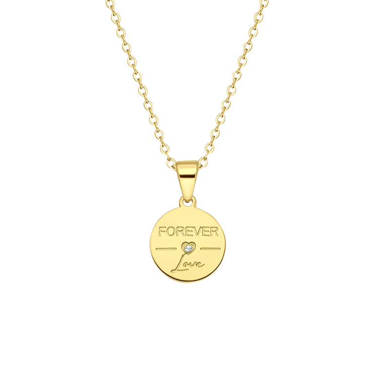 Stalen goldplated ketting met hanger munt met zirkonia voor dames