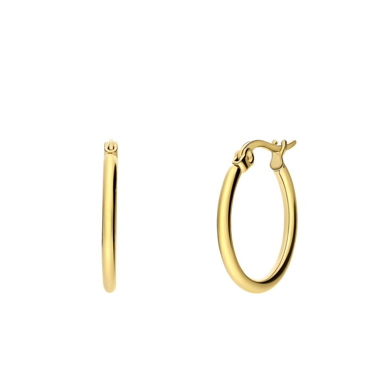 Stainless steel goldplated oorringen 30mm voor dames