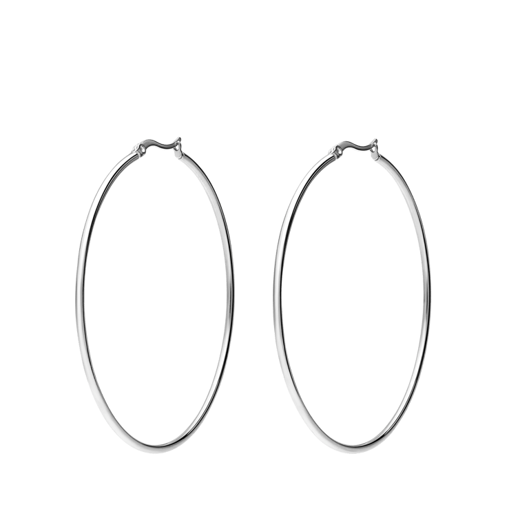 Stainless steel oorringen 65mm voor dames