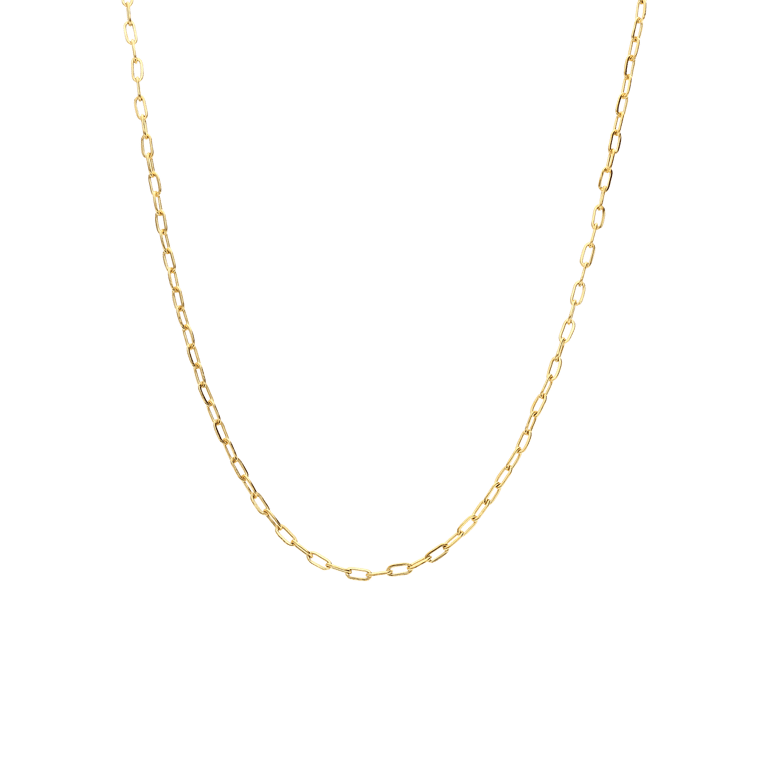 Stalen goldplated ketting closed forever 2mm