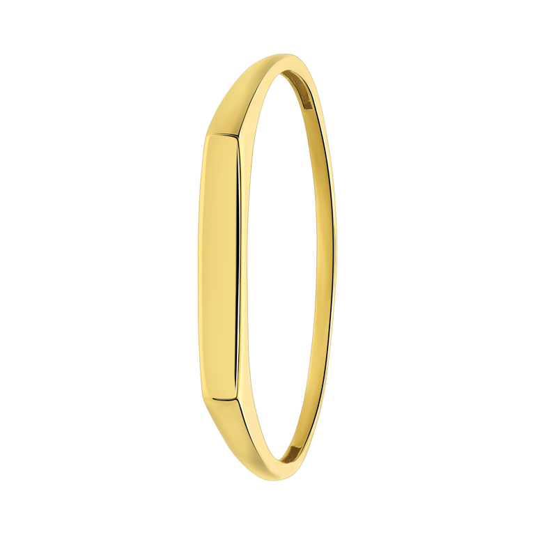 14 karaat geelgouden ring met bar