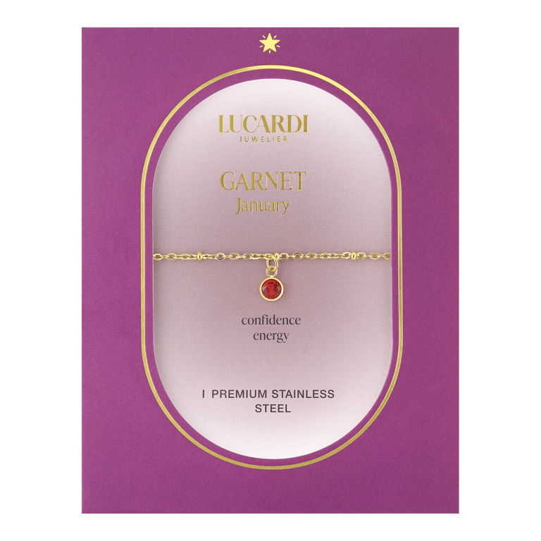 Stainless steel goldplated fantasiearmband met geboortesteen Januari voor dames