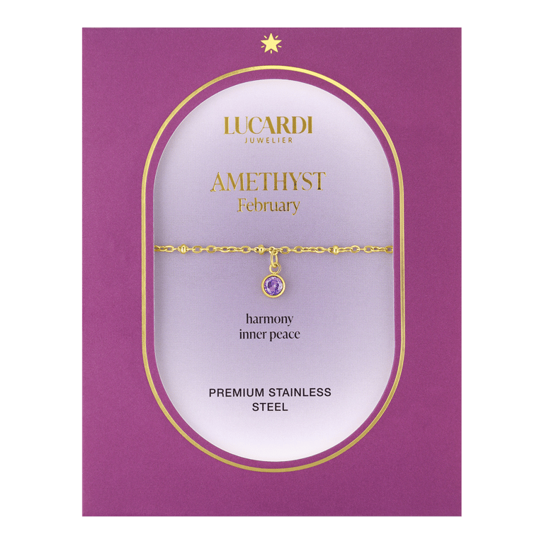 Stainless steel goldplated armband geboortesteen februari