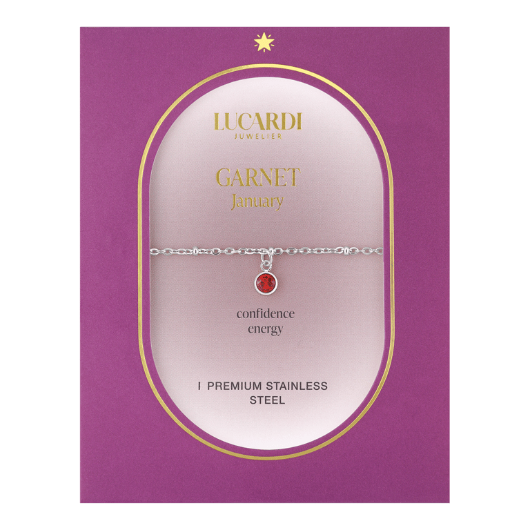 Stainless steel armband geboortesteen januari