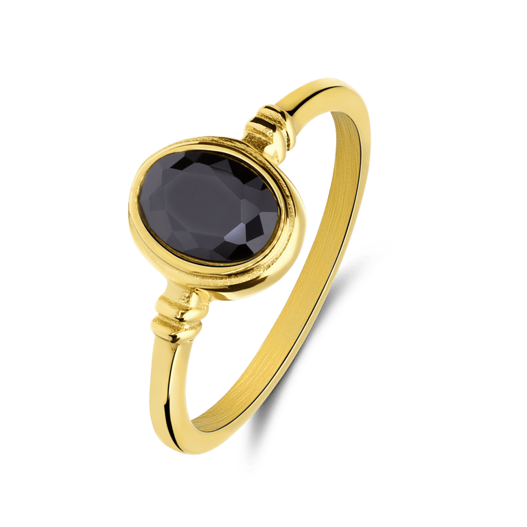 Stainless steel goldplated vintage ring ovaal zwart