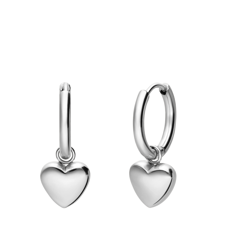 Stainless steel oorringen met hart