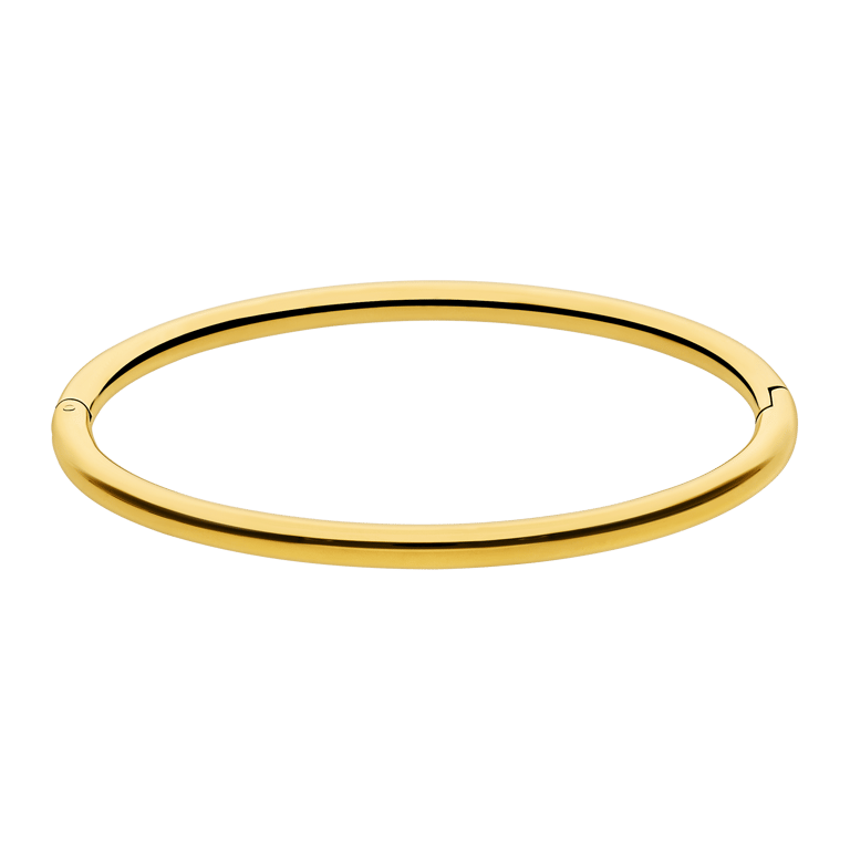 Stalen goldplated bangle