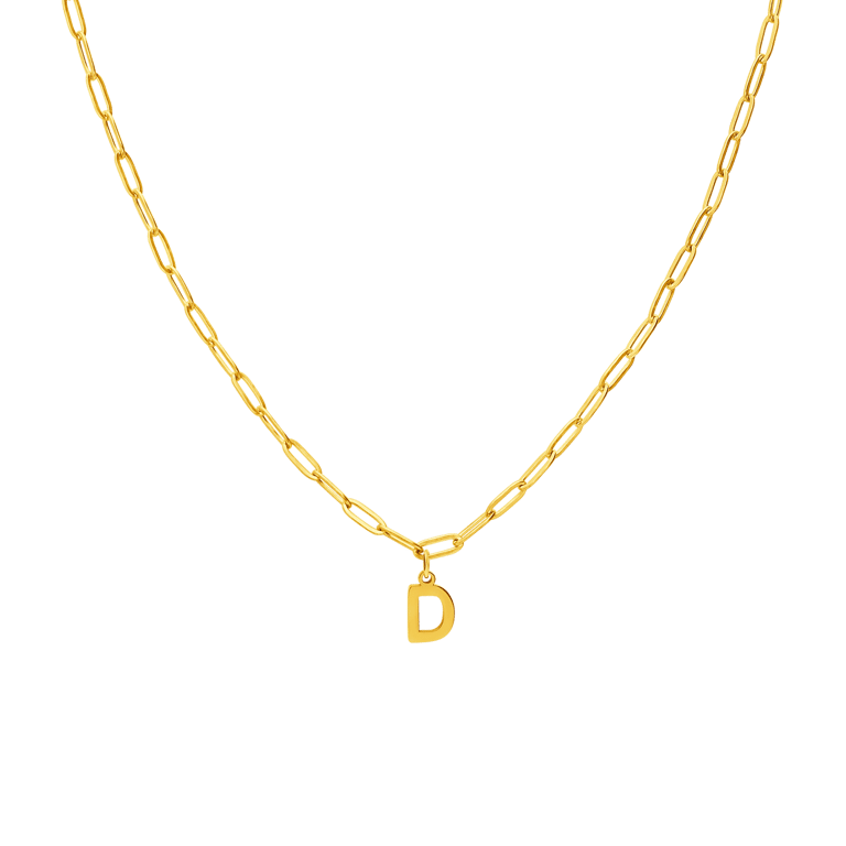 Stainless steel goldplated ketting met hanger letter D voor dames