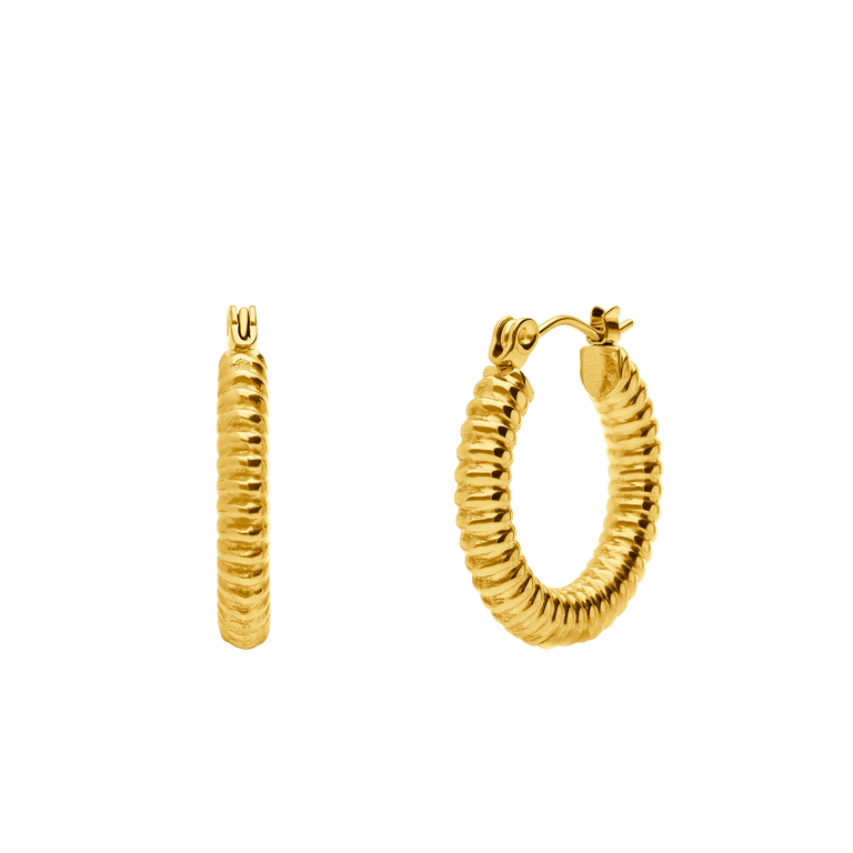 Stalen goldplated oorringen bewerkt voor dames
