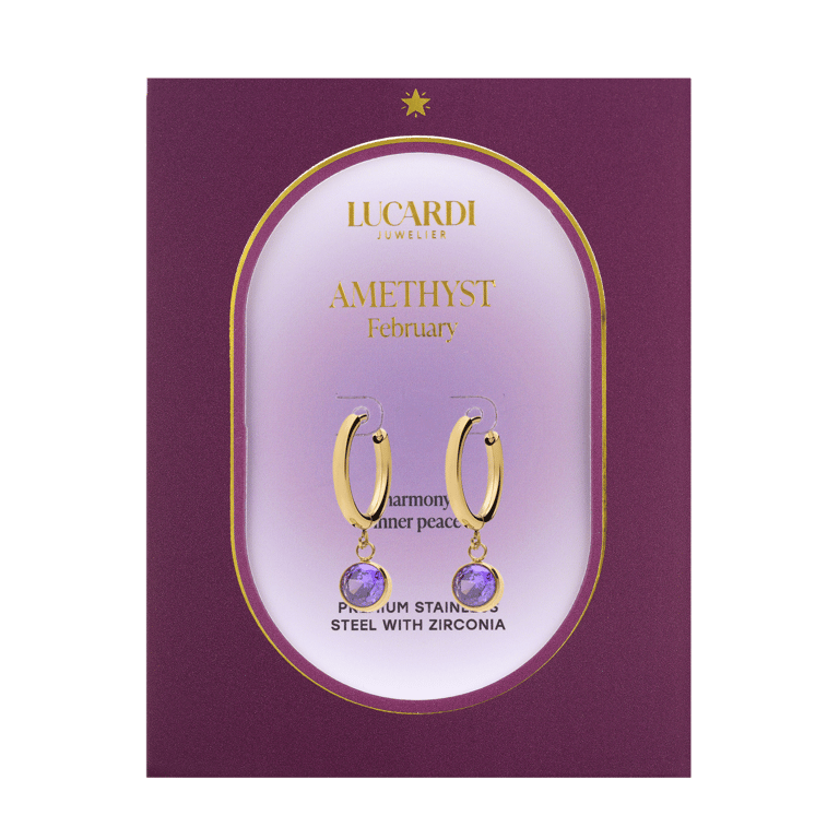 Stalen goldplated oorknoppen met geboortesteen Februari voor dames