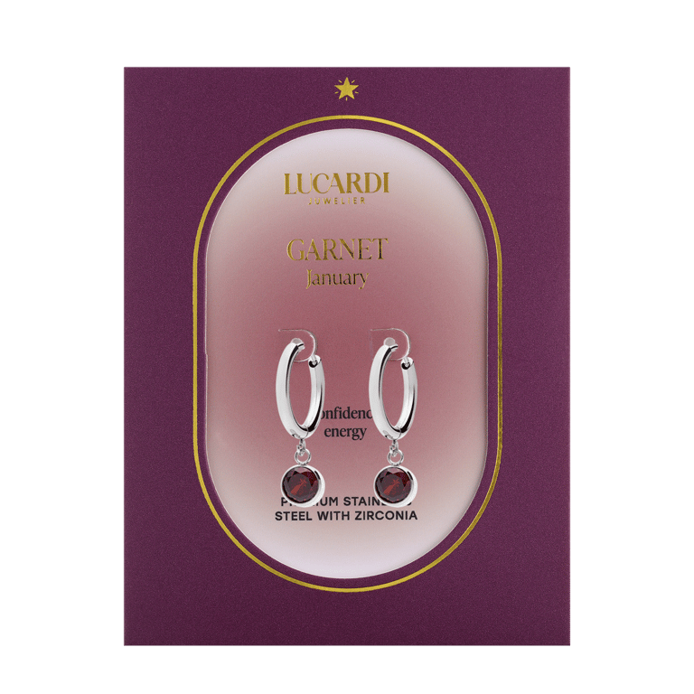 Stainless steel oorbellen met geboortesteen januari