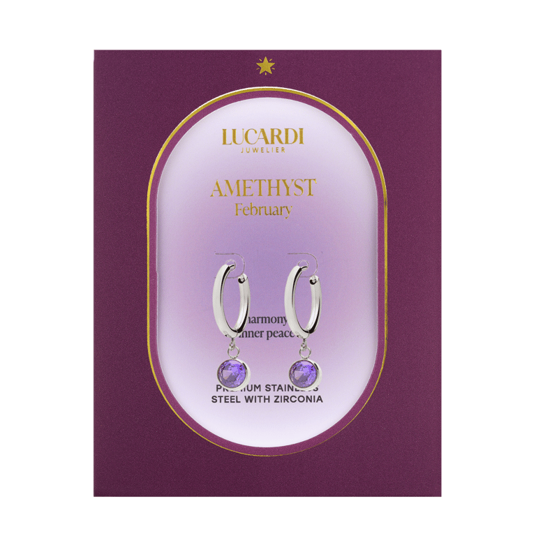 Stainless steel oorbellen met geboortesteen februari