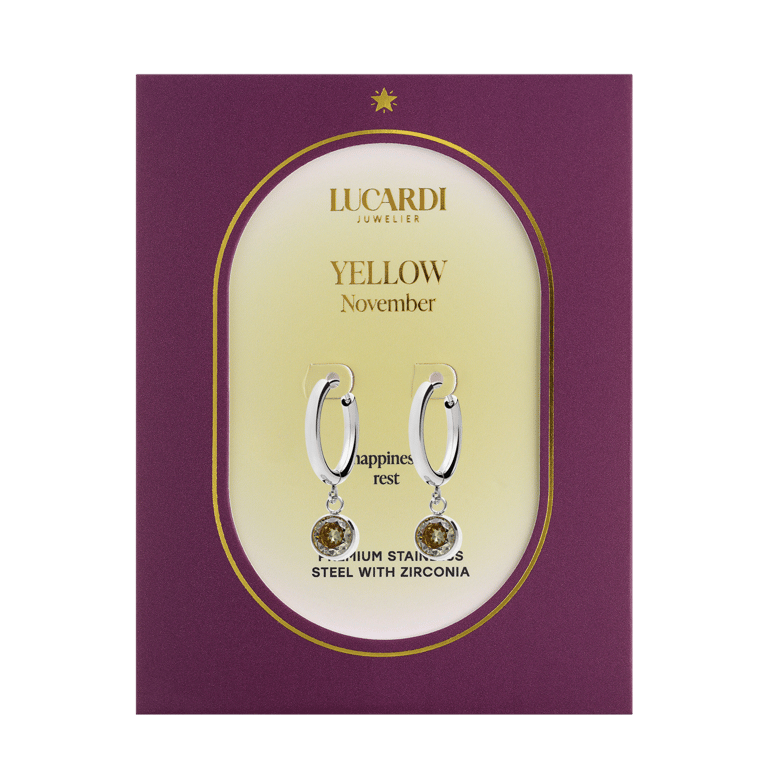 Stainless steel oorbellen met geboortesteen november