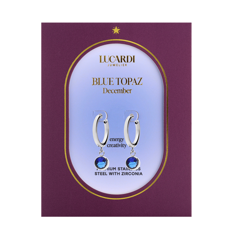 Stainless steel oorbellen met geboortesteen december