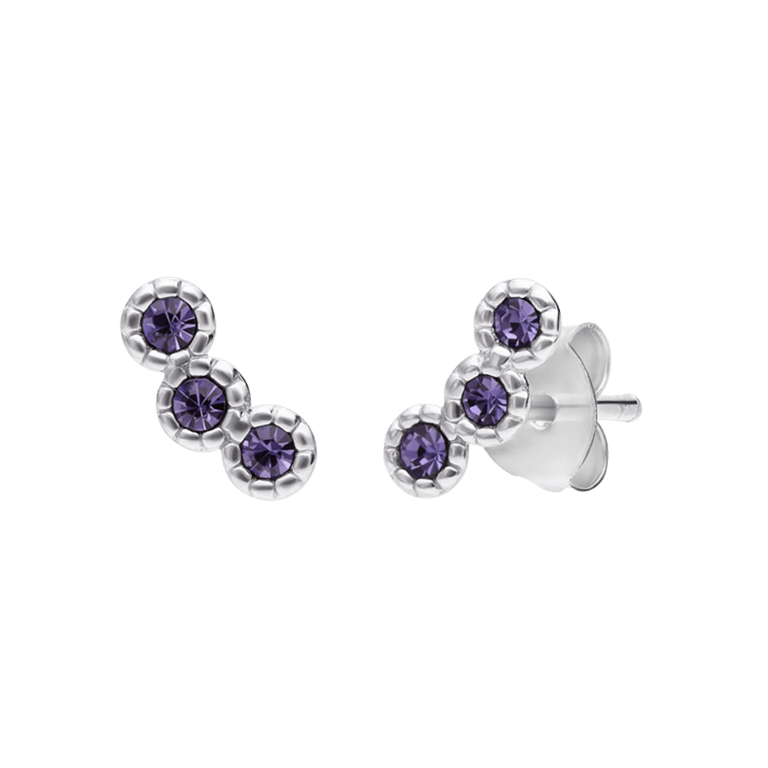 Zilveren oorknoppen rond kristal amethyst