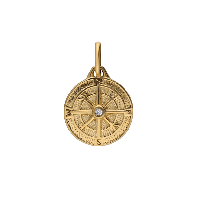 Stalen goldplated hanger munt met zirkonia voor dames