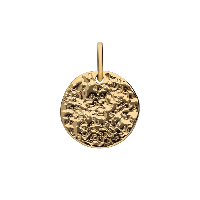 Stalen goldplated bedel munt