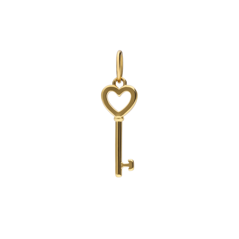 Stainless steel goldplated hanger sleutel voor dames