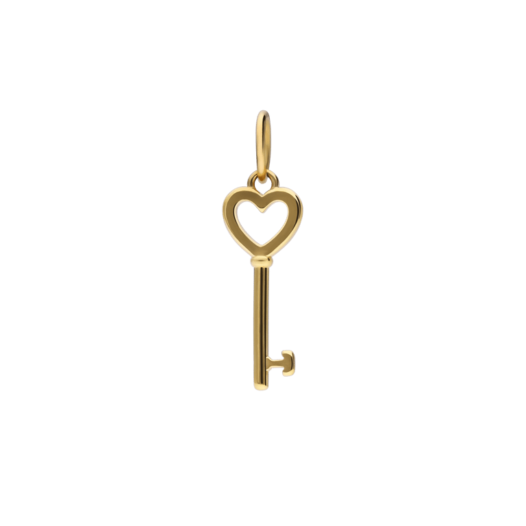 Stalen goldplated hanger sleutel voor dames