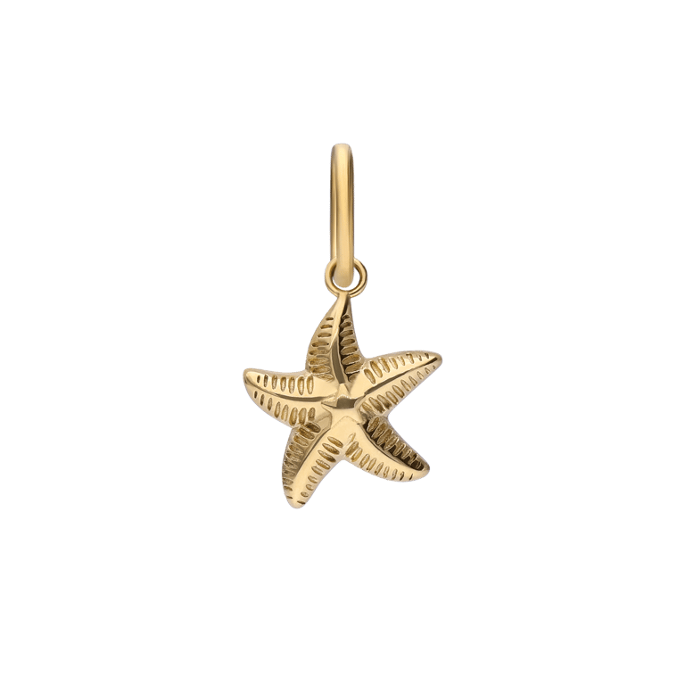 Stalen goldplated bedel zeester