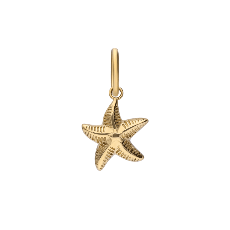 Stalen goldplated hanger zeester voor dames