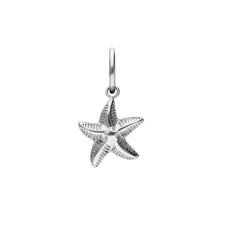 Charm aus Edelstahl, Seestern