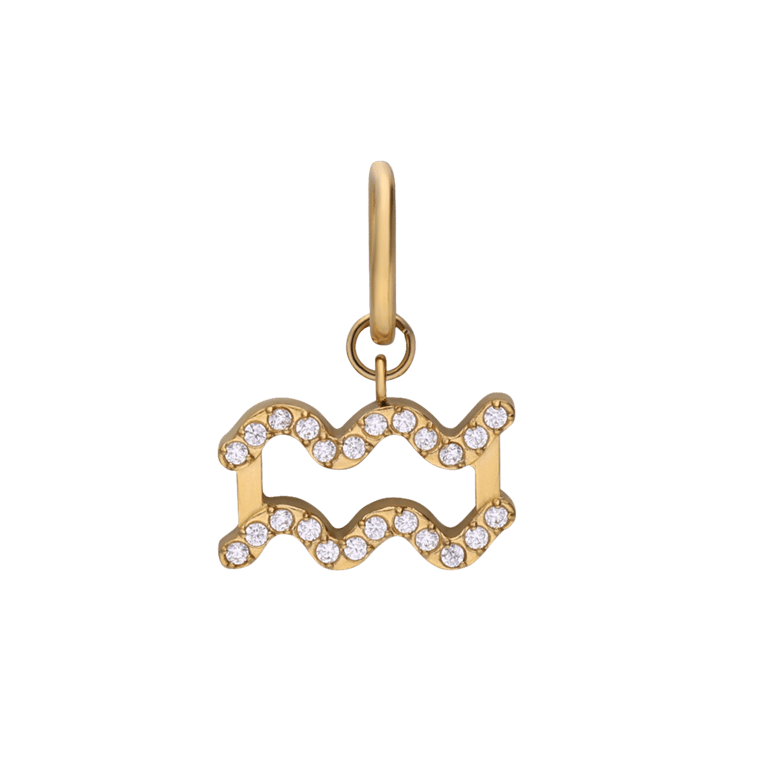 Stalen goldplated sterrenbeeldhanger Waterman met zirkonia voor dames