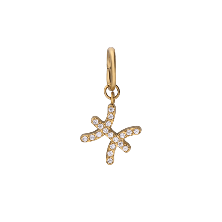 Stalen goldplated sterrenbeeldhanger Vissen met zirkonia voor dames