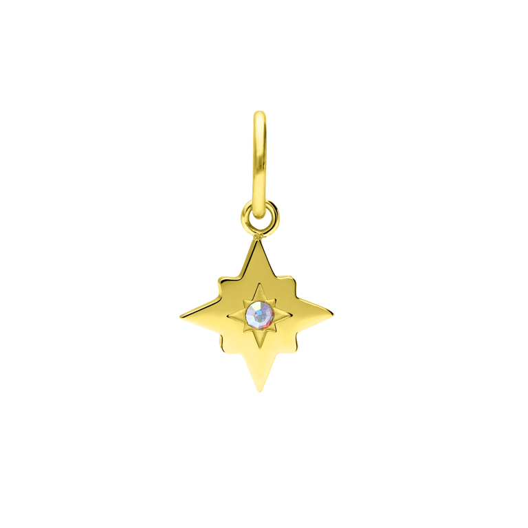 Stalen goldplated hanger ster met zirkonia voor dames