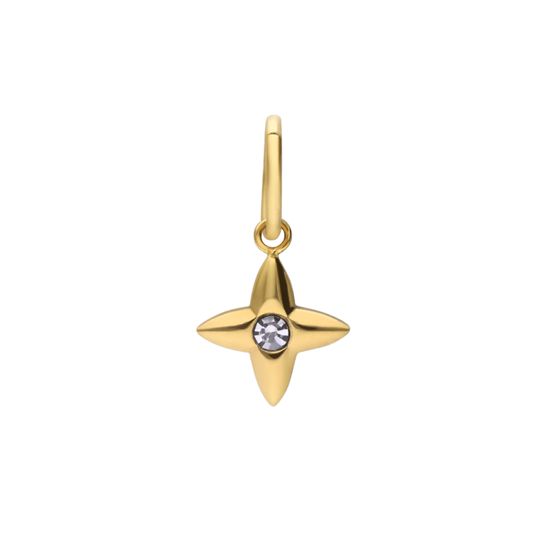 Stainless steel goldplated bedel ster met kristal