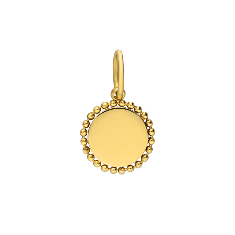 Stalen goldplated bedel munt small