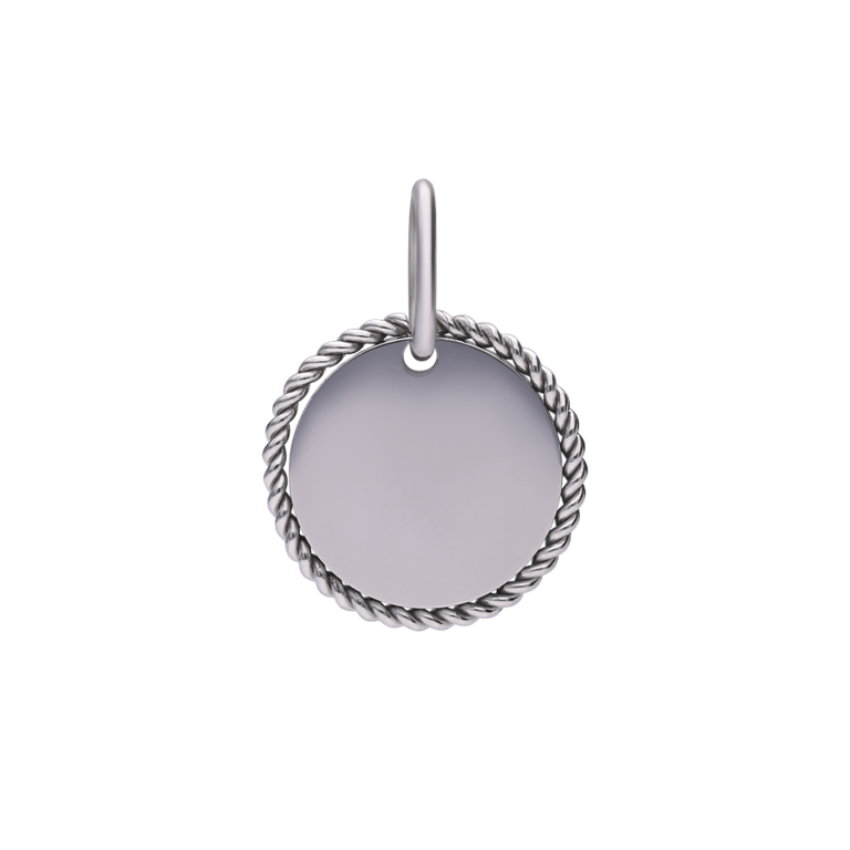 Stainless steel bedel munt bewerkt