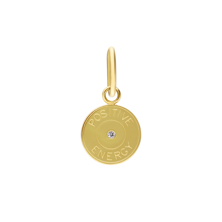 Stalen goldplated hanger munt met zirkonia voor dames