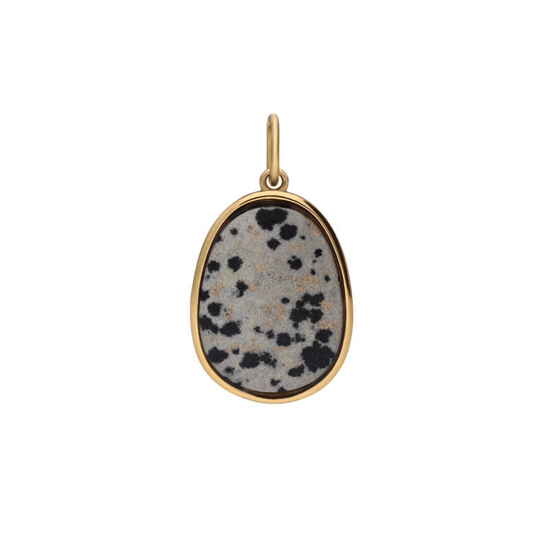 Stalen goldplated hanger met damatian jasper voor dames