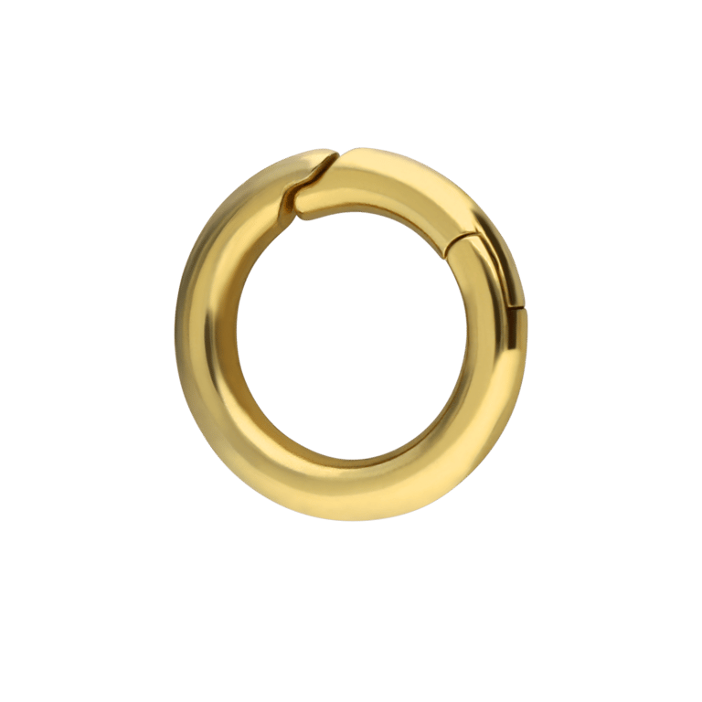 Stalen goldplated bedel sluiting voor dames