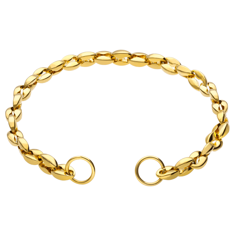 Stalen goldplated bedel armband marina