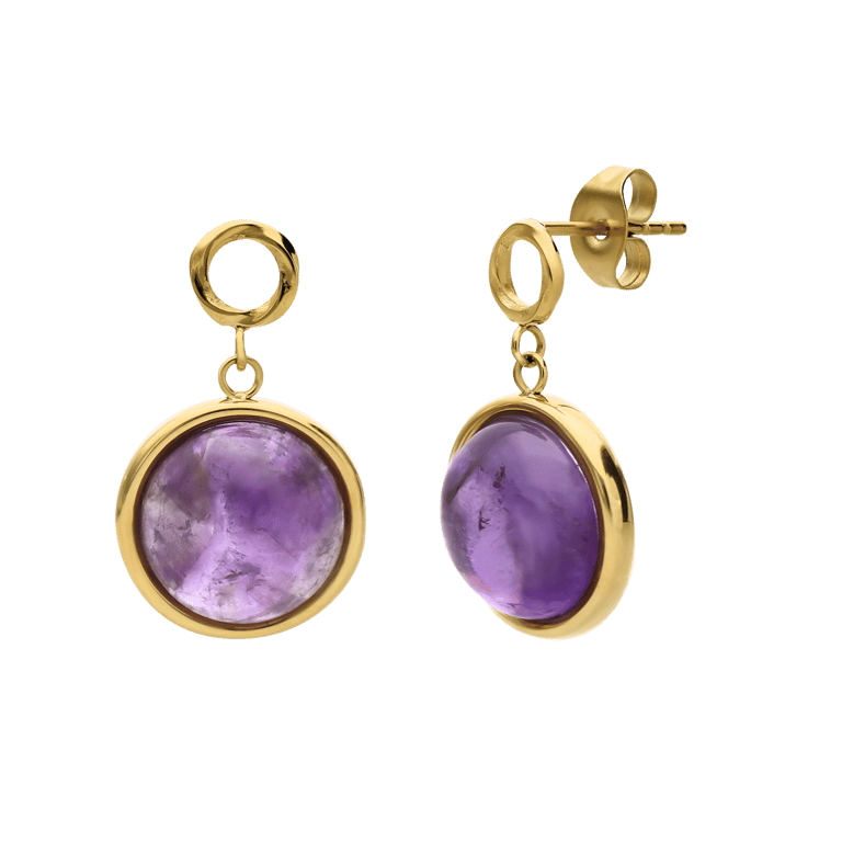 Stainless steel goldplated oorhangers met amethyst voor dames