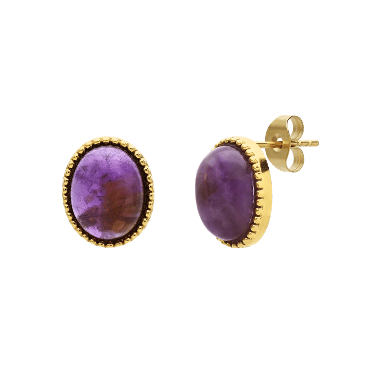 Stalen goldplated oorbellen met amethyst