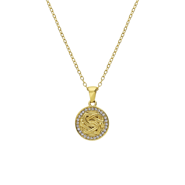 Stalen goldplated ketting met hanger munt met kristal